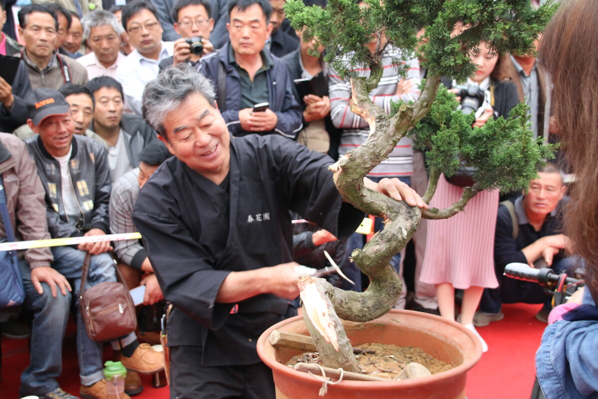 盆栽で深まる中国との縁