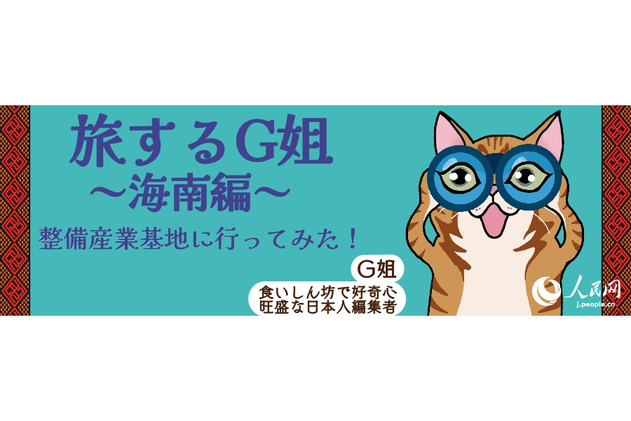 【~海南編1~】整備産業基地に行ってみた!